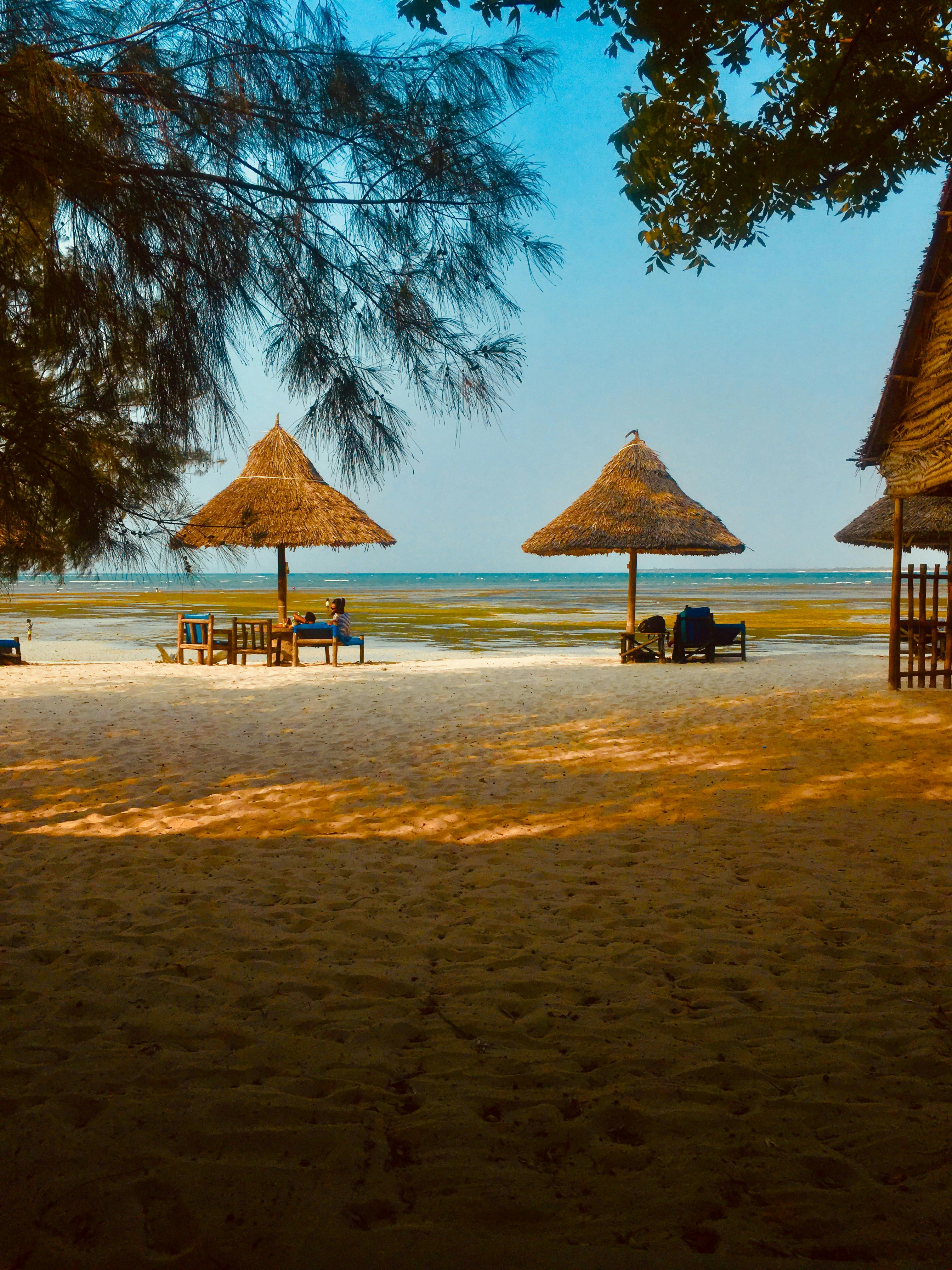 Ultimate Tanzania & Zanzibar Travel Guide (2026): Safari, Beaches, Culture & Adventure