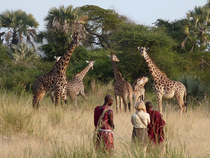 Walking Safaris in Kenya: What You Should Know