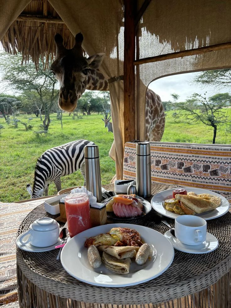 Safari Myths You Should Stop Believing