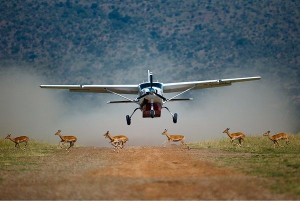 Why Fly-In Safaris Are Growing in Popularity
