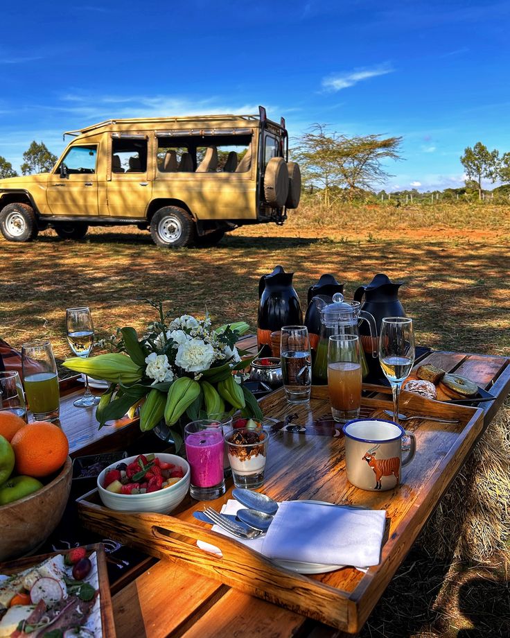 Why Customized Safaris Are Better Than Package Tours