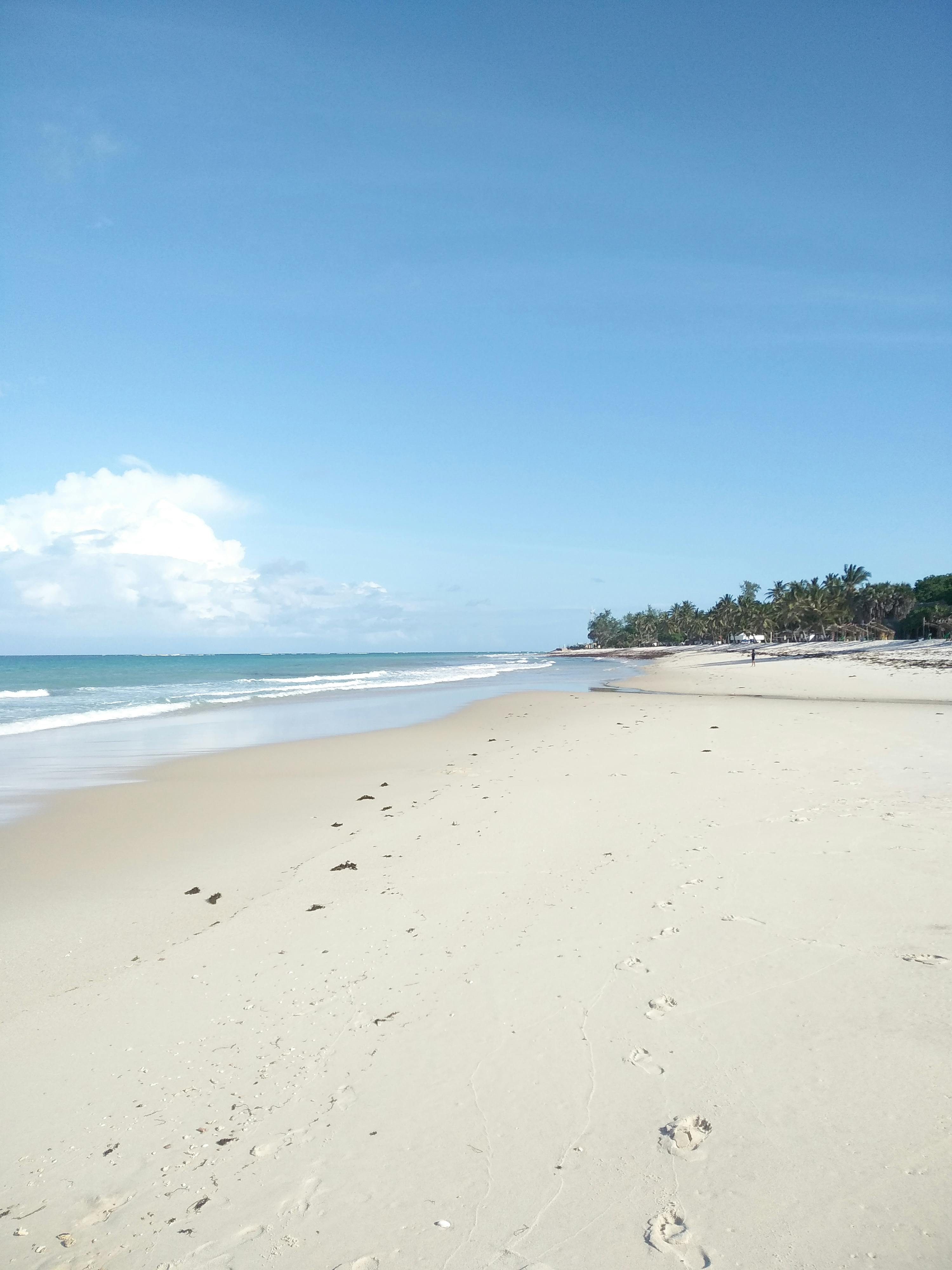 Diani Beach: Kenya's Most Beautiful Stretch of Coastline