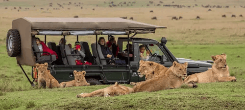 Is Kenya Safe for Tourists?