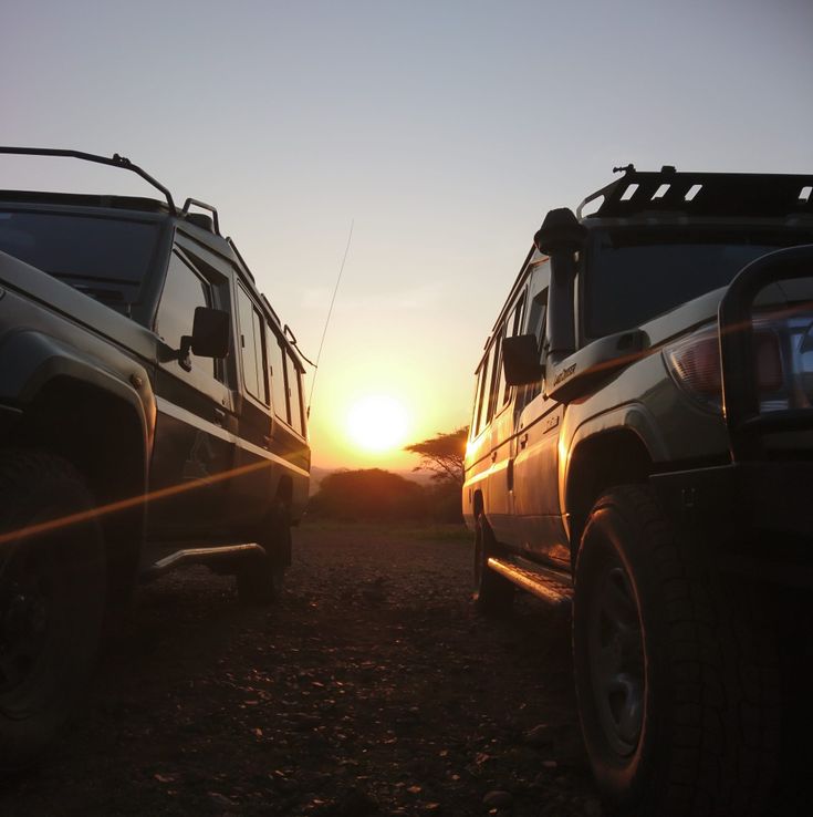 From Airport Pickup to Safari: What to Expect in Kenya