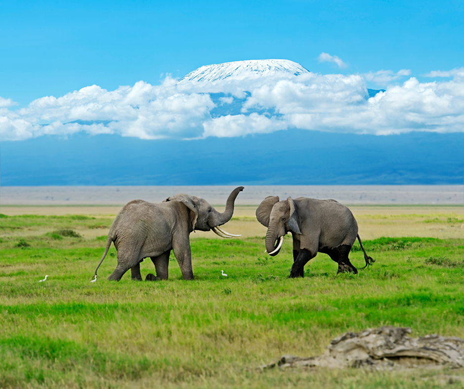 3 Days Amboseli National Park